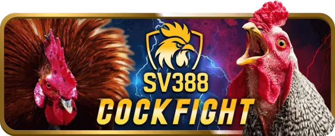 Các chương trình thưởng nạp lại hàng ngày, hàng tuần tại FCB88